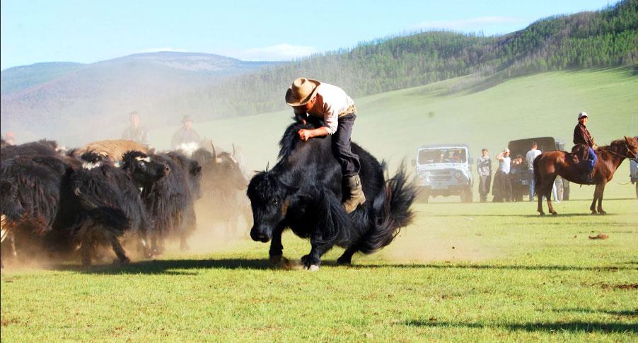 Xonanda Beyonse bilan porno